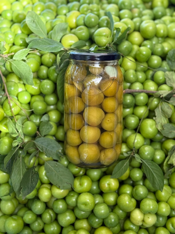 Erik Turşusu 1000cc