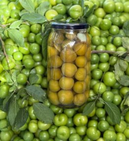 Erik Turşusu 1000cc