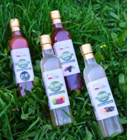 4'lü Doğal Sirke Fırsat Paketi - Elma, Üzüm, Ananas ve Kozalak Sirkesi